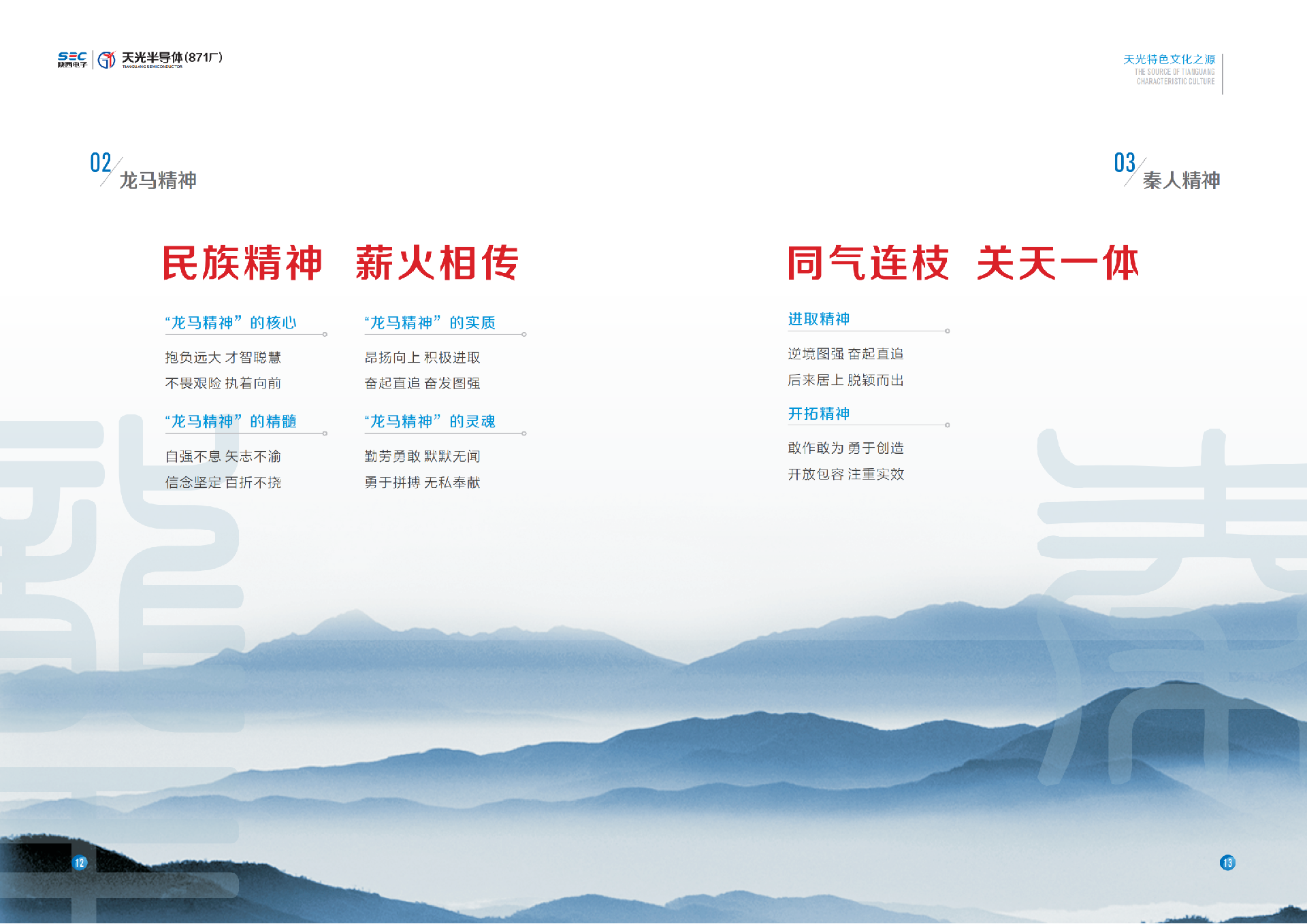 天光半導(dǎo)體企業(yè)文化手冊12.26_12.png